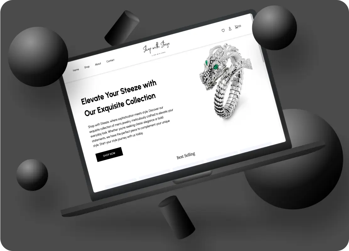 Desktop screenshot of the ShopWithSteeze Web store project